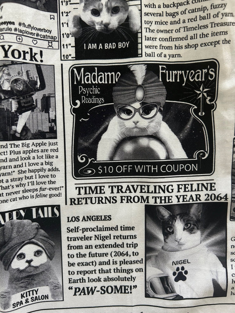 IN STOCK Newspaper Cats Fit & Flare Dress