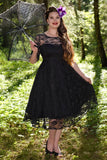 Madeline Long Sleeve Lace Dress in Black