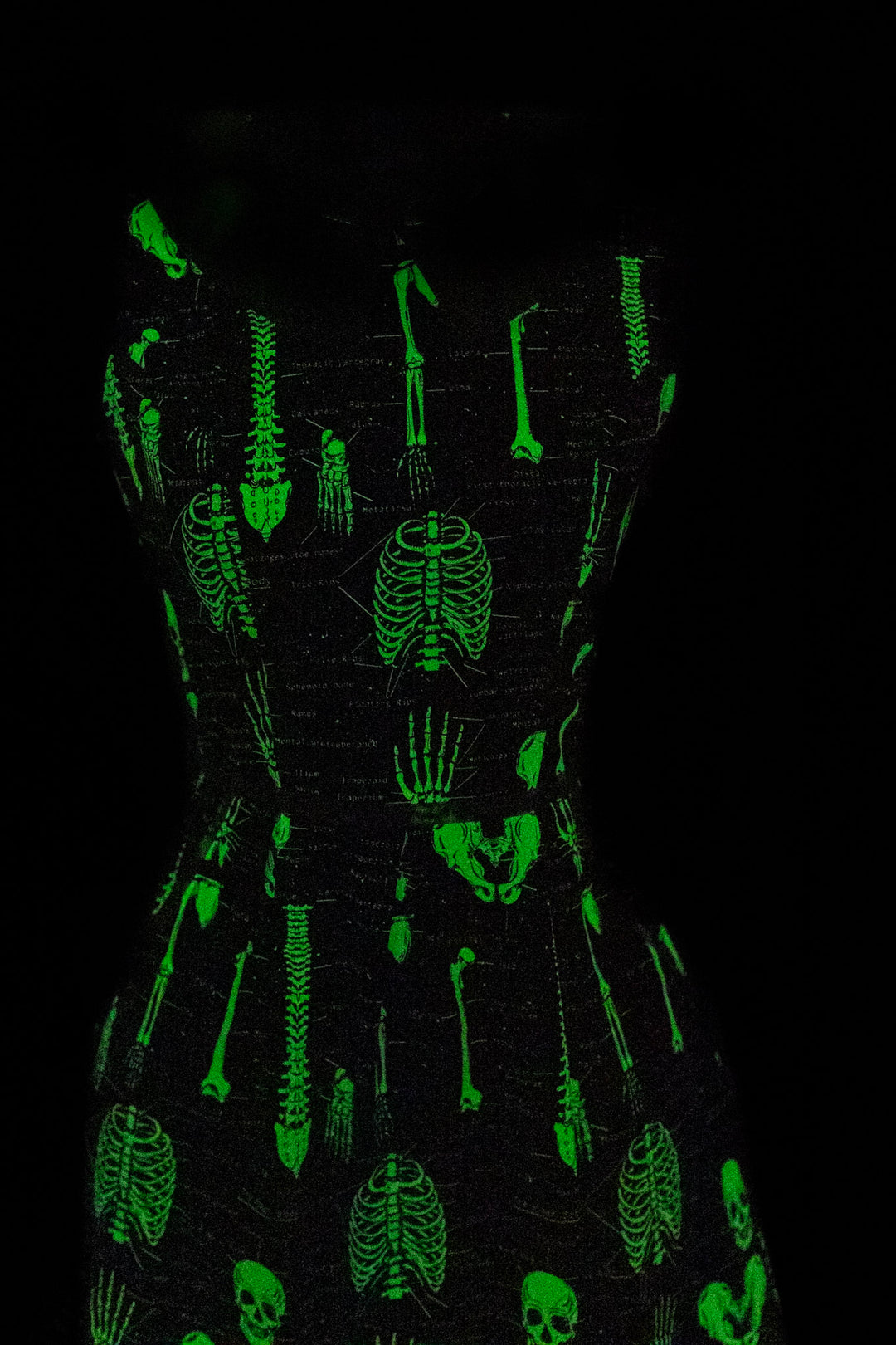 PREORDER - Glow Anatomically Correct Collared Dress - Expected dispatch 11th of August