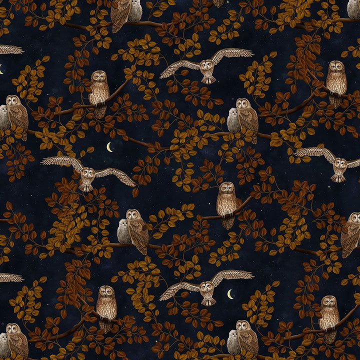 PREORDER - Owls Bow Top - Expected dispatch date 30th July